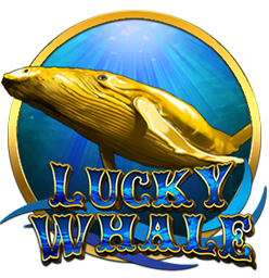 Lucky Whale